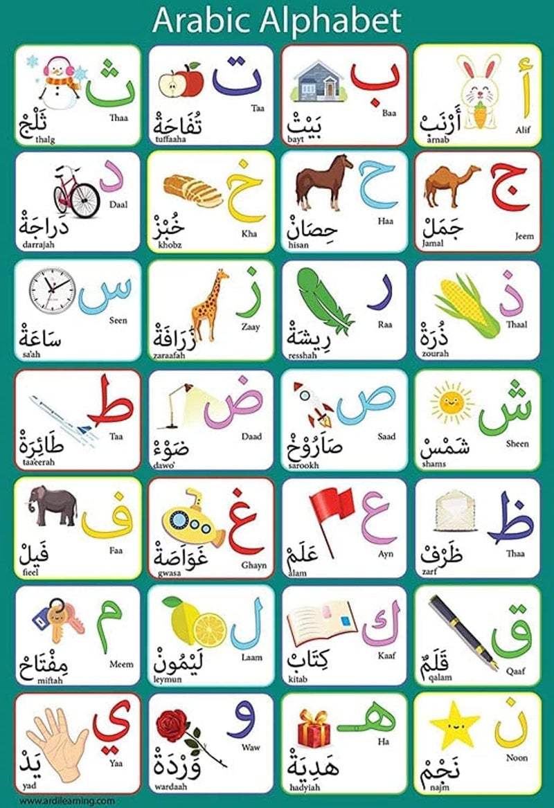 اي ار اس ملصق الأبجدية العربية المغلف من ARS للأطفال - لوحة جدارية تعليمية - Image 1