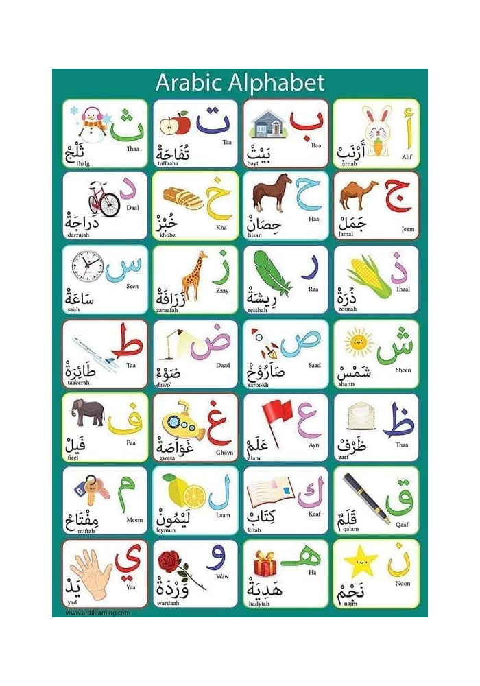 اي ار اس ملصق الأبجدية العربية المغلف من ARS للأطفال - لوحة جدارية تعليمية - Image 4