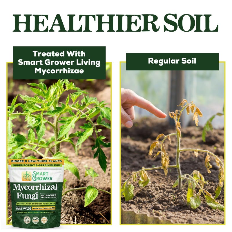 Smart Grower Mycorrhizal Fungi Organic Root Enhancer for Plants, Super Potent 100 Spores Per Gram, 5-Strain Blend, Rapid Results for Gardens, Houseplants, Lawns, Mycorrhizae Smart Grower 500 Grams for 500 Plants - Image 5