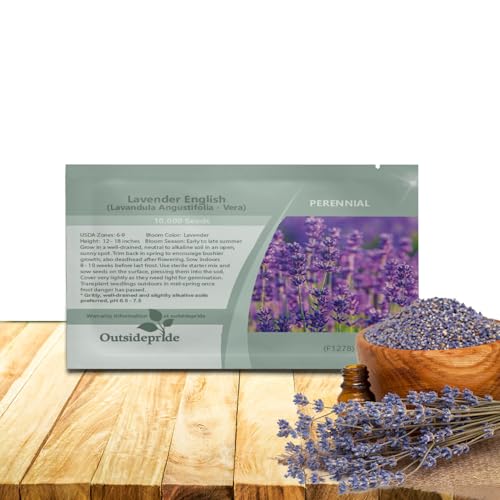 Outsidepride English Lavender Seeds - 5000 Pcs Perennial, Drought-Tolerant & Pollinator Friendly Herb Seeds for Planting Fragrant and Delicate Flowers with Lavender Blooms for Xeriscaping Gardens - Image 1