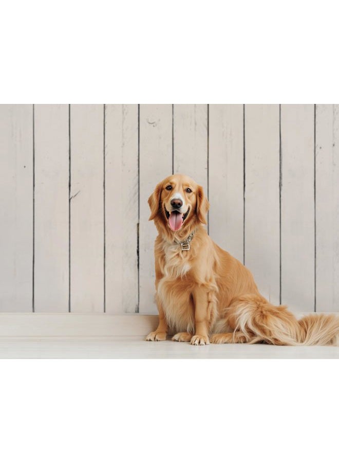Kate 7x5ft White Wood Shiplap Photography Backdrop Vintage White Wood Photo Background Photo Studio Props - Image 3