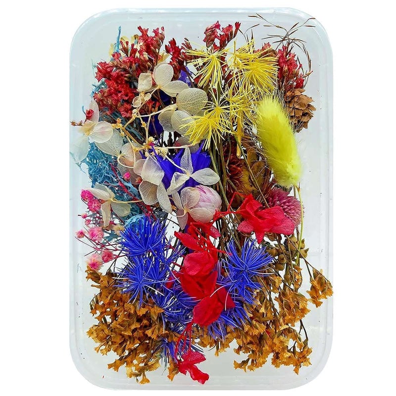 Prokart [2 Box Set] Real Natural Dried Flowers for Art & Craft - Multicolour Floral Mix for Resin, Candles, Soap & DIY Projects [Design May Vary, Random Box, Multicolour] - Image 5