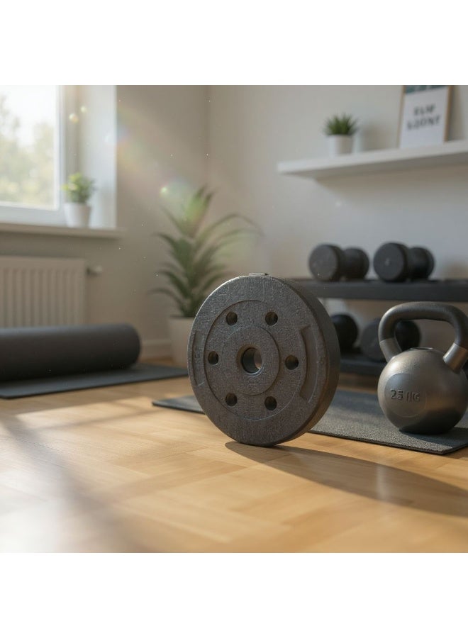 SportQ Sport Q Dumbbell Plates or Dumbbell Disc Weight Lifting Slice Dumbbell Hoop (1 Piece) - Image 4