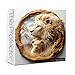 Larkipuzz Aesthetic Lion Animal Puzzles for Adults 1000 Pieces Unique Wildlife Nature Jigsaw Puzzle Difficult Challenging Art Puzzles - Image 2