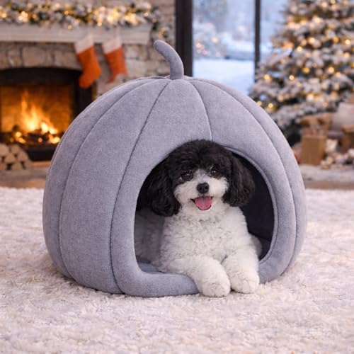 ZEXSAZONE Premium Summer Soft Velvet Pet Hut House | for Cats, Kittens and Small Dogs Puppey | with Reversible Cushion | Washable Cozy and Comfortable | 40 x 40 x 42 cm (Grey Small Pumpkin) - Image 1