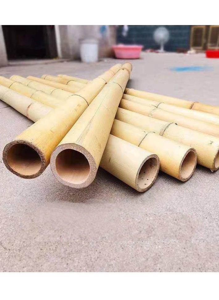 HOME TASTE - TOMSUN Plant Stakes Natural Garden Bamboo Sticks  Strong Bamboo Plant Support Stakes 120 Cm - 10 Piece Set - Image 1