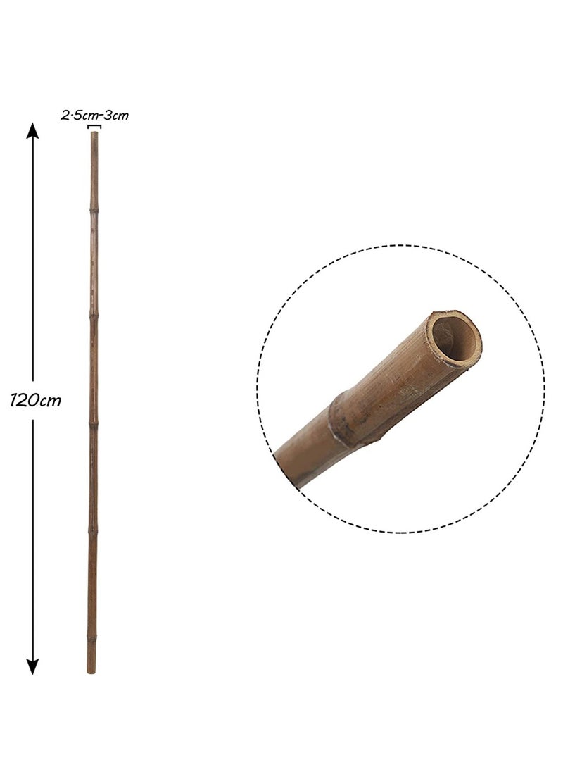 HOME TASTE - TOMSUN Plant Stakes Natural Garden Bamboo Sticks  Strong Bamboo Plant Support Stakes 120 Cm - 10 Piece Set - Image 1