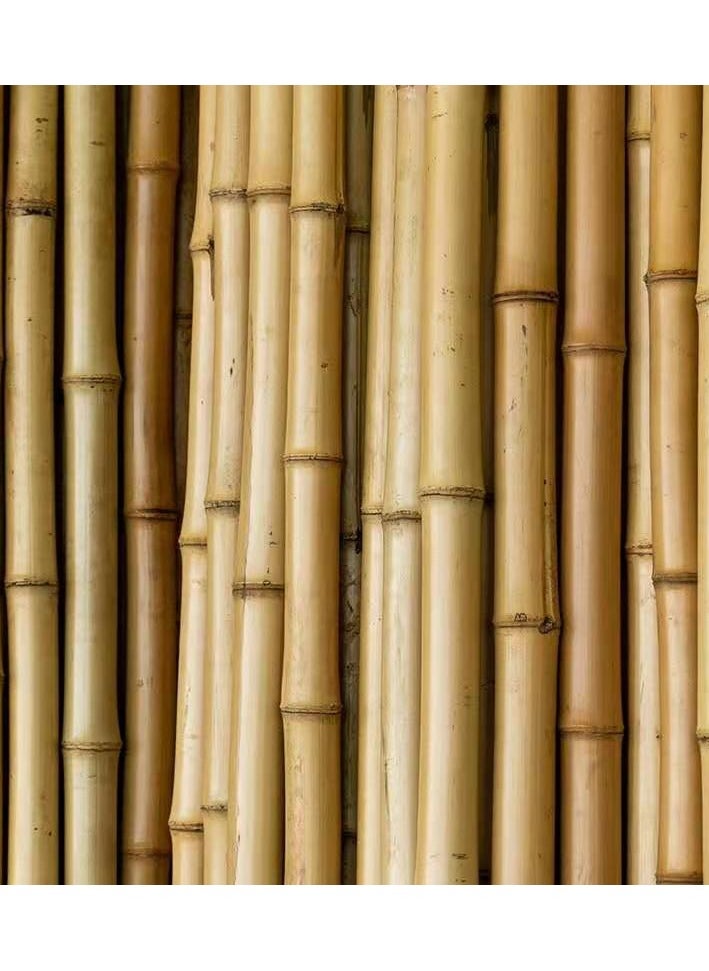 HOME TASTE - TOMSUN Plant Stakes Natural Garden Bamboo Sticks  Strong Bamboo Plant Support Stakes 120 Cm - 10 Piece Set - Image 1