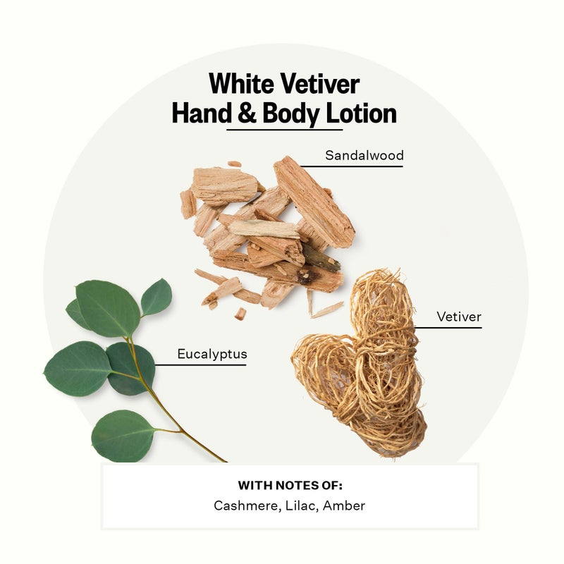 Apotheke Scented Hand & Body Lotion, White Vetiver - 10 Fl Oz Nourishing Body Moisturizer Cream for Dry Skin - Gentle Daily Skincare for Men & Women with Natural Ingredients, All Skin Types - Image 2