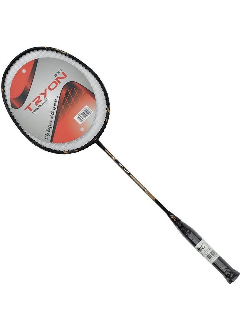 BR-500 Badminton Racket - pzsku/ZAE2A7343D6E367A2D615Z/45/_/1727881715/0b166707-18d5-4f2c-aaba-8780b764add1