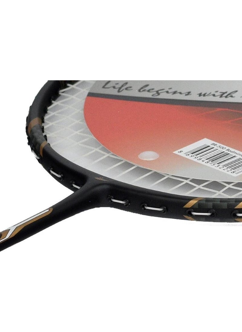 BR-500 Badminton Racket - pzsku/ZAE2A7343D6E367A2D615Z/45/_/1727881740/e7b0d5fb-868e-4253-a6bb-aa7f41224d12