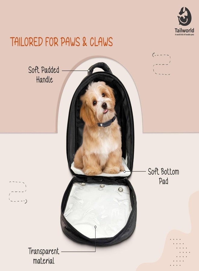 Tailworld Portable Pet Carrier Backpack for Cats & Small Dogs - Transparent Window, 9 Air Vents, Breathable Mesh, Built-in Safety Leash, Lightweight Travel Bag for Outdoor & Travel (Black) - Image 4