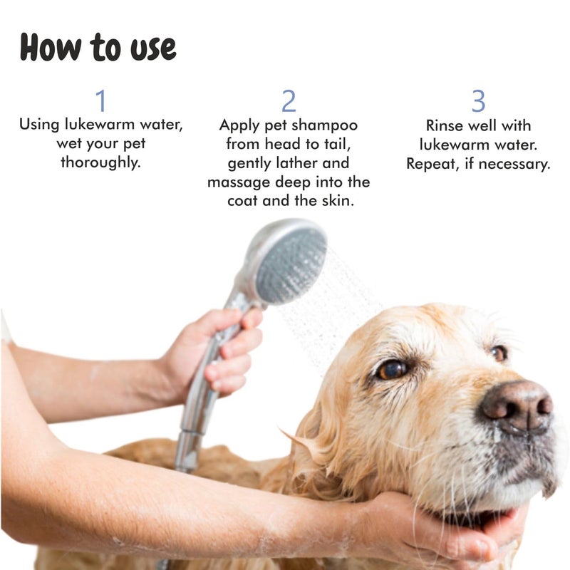 Harrods Bscly Bacte Shield Dog Shampoo 500ml | Puppy Safe Shampoo - Ticks & Fleas Prevention, Enriched with Aloe & Coconut Oil, Ph Balanced Dog Shampoo - Shampoo for Pets - Image 5