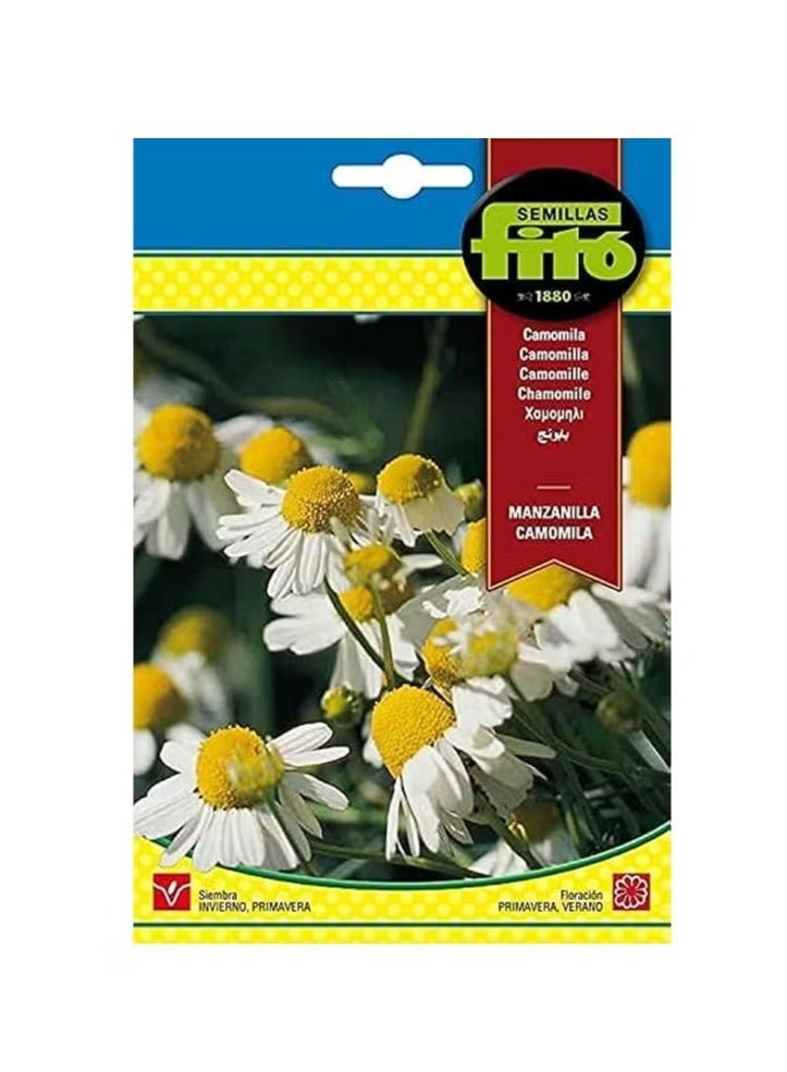 Generic Chamomile Manzanilla Camomila Seeds By Fito "Graden Care" 