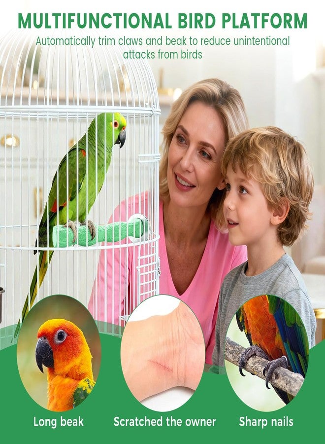 KCMOSGI 2pcs Bird Beak Grinding Stone, Anti-Slip Parakeet Nail Trimming Stick Resin, Bird Parrot Cage Perch Stand Platform Foot, Claws Trimmer Chewing Toys for Budgies, Parakeets, Cockatiels, Conures - Image 5