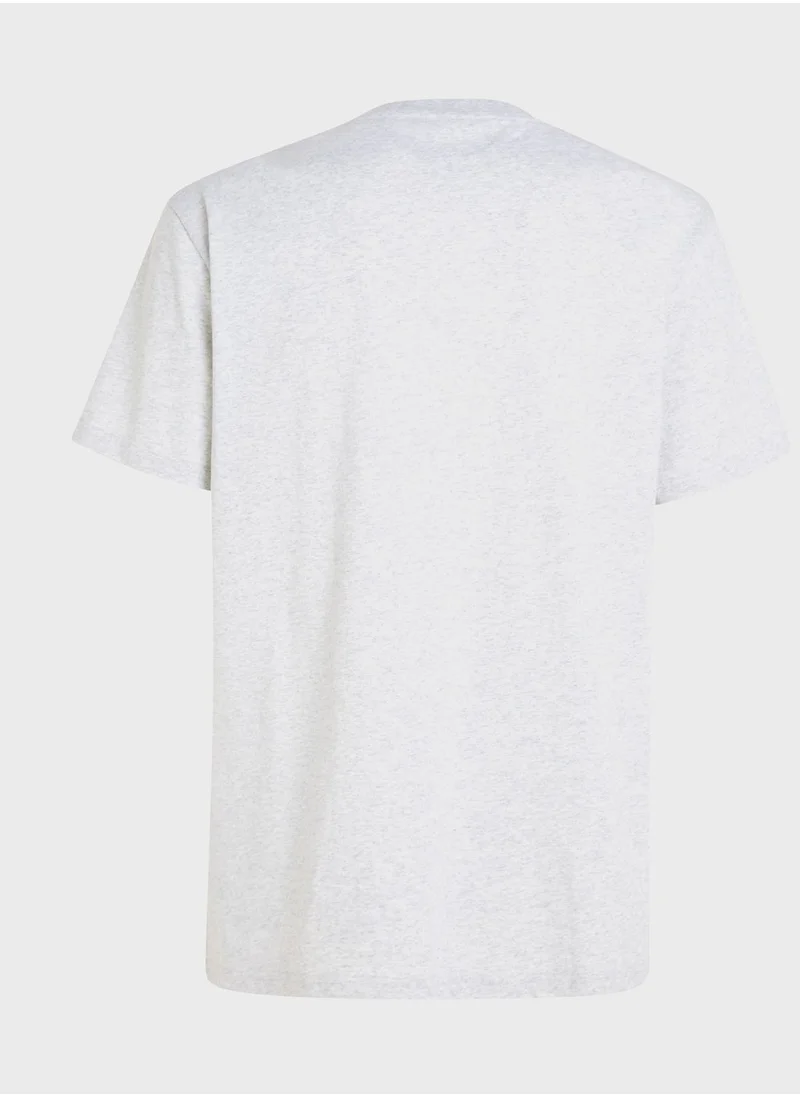 TOMMY JEANS Logo Crew Neck T-Shirt