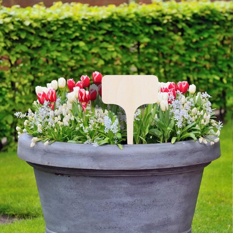 ويوبلز ٥٠/١٠٠ قطعة من ملصقات النباتات الخشبية ١٠ × ٦ سم، صديقة للبيئة، على شكل حرف T، علامات خشبية للنباتات، علامات للحدائق للبذور والنباتات المزروعة في أصص، الأعشاب والزهور والخضراوات والنباتات العصارية - Image 3