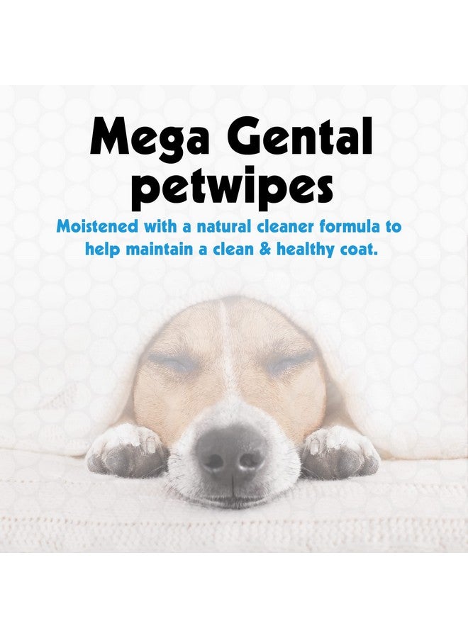 بيتكين مناديل Petkin Mega PetWipes، 200 منديل - مناديل مبللة للحيوانات الأليفة للكلاب والقطط - للوجه والكفوف والأذنين والجسم ومنطقة العين - مناديل تنظيف الكلاب فائقة الراحة، مثالية للمنزل أو السفر - سهلة الاستخدام - Image 3