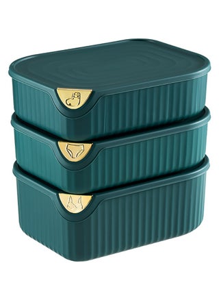 3 PCS Underwear Storage Organizer, Save Space Storage Box with Lid, Foldable Drawer for Bra Panties Socks  (Green 0/15/10 Grid) - pzsku/ZAE2EFD60E34435A89519Z/45/_/1697352703/66b42ba3-3e95-4900-9ff9-c3b2bff8d3e7