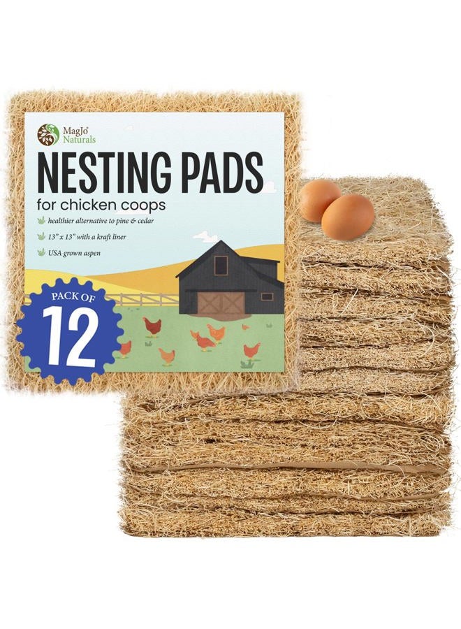 MagJo Pet Excelsior Aspen Shaving Nesting Liners 12 Pack (12 Pack) - Image 1