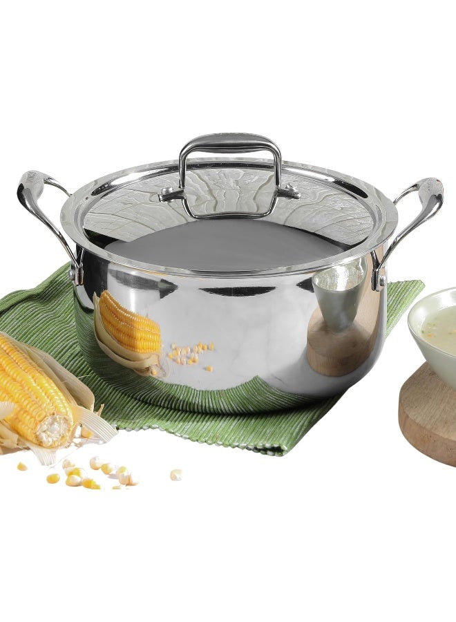 VINOD وعاء صلصة من الفولاذ المقاوم للصدأ ثلاثي الطبقات من فينود بلاتينيوم مع غطاء - 20 سم، 3 ل (مناسب للطهي بالحث) - Image 1