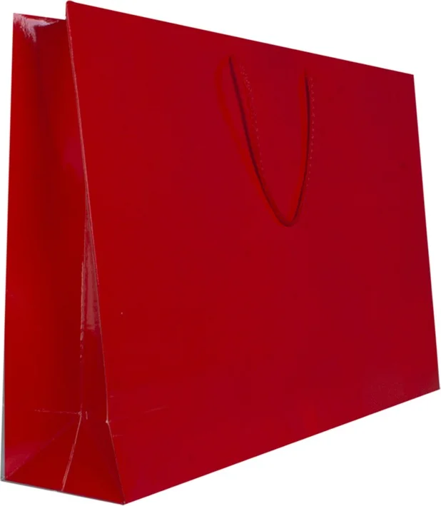 Alsepeteavm 54X38X12 Cardboard Bag 10LU -Red