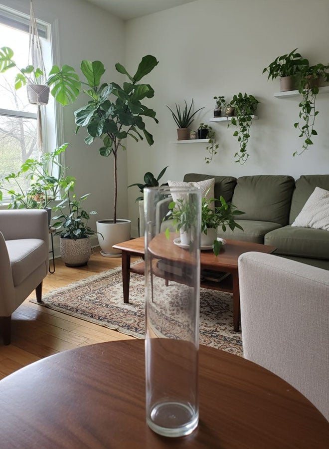 سويس كانتون فازة زهور زجاجية فاخرة أسطوانية - 30 سم، تصميم أنيق، 7 سم قطر، مثالية للباقة أو كزينة مستقلة، تشطيب عالي الوضوح، متينة وسهلة التنظيف، مثالية للمنزل والمكتب - Image 4