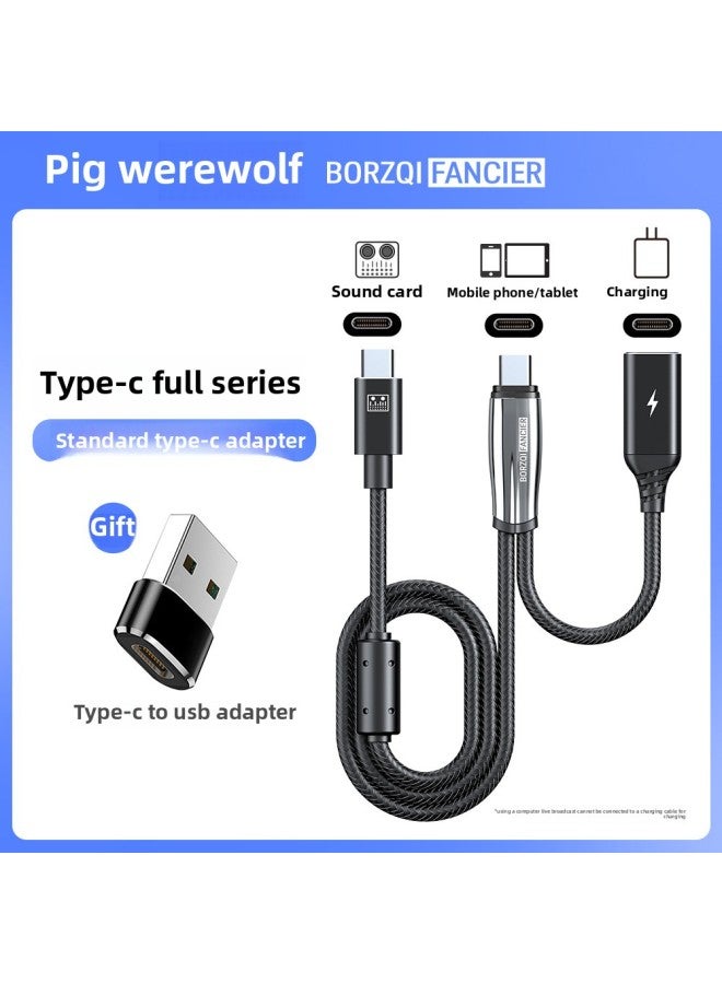 Wolf Hunter OTG Digital Audio Line Sound Card Live Line Data Line For Apple Android Otg Live Line-Color:Bf27/ 2m Lightning To 3.5 Female + 0.2m Lightning Female Pd Fast Charging (common To National And American Standards)  - Image 5