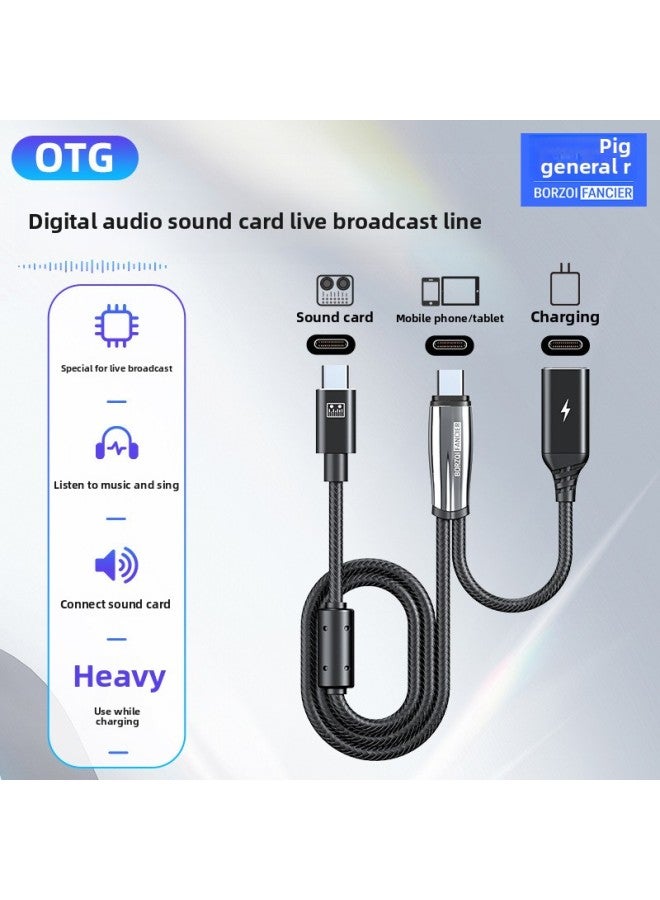 Wolf Hunter OTG Digital Audio Line Sound Card Live Line Data Line For Apple Android Otg Live Line-Color:Bf27/ 2m Lightning To 3.5 Female + 0.2m Lightning Female Pd Fast Charging (common To National And American Standards)  - Image 2