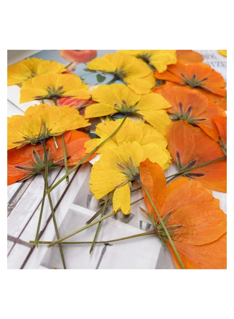 Beautiful Dried Pressed Flowers for Crafting Fall Decor 48 Pcs Orange and Yellow Floral Arrangements - Image 4