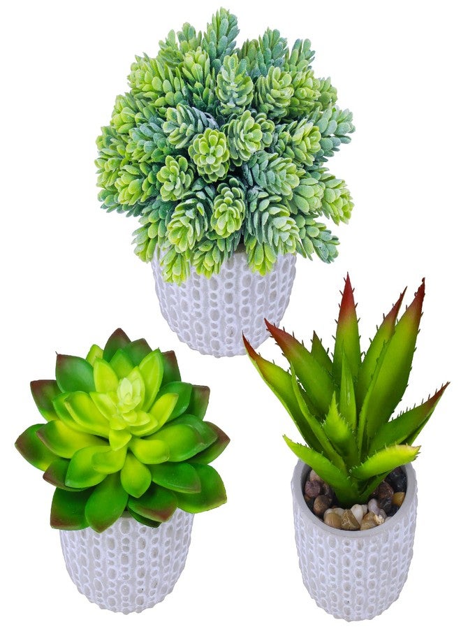 EXQUISS 3 Pcs Assorted Small Potted Fake Succulents Plants Artificial Aloe Hops in Gray Concrete Ceramic Pots Polka Dots Planters for Home Kitchen Party Gift Greenery Windowsill Tabletop Decor - Image 1