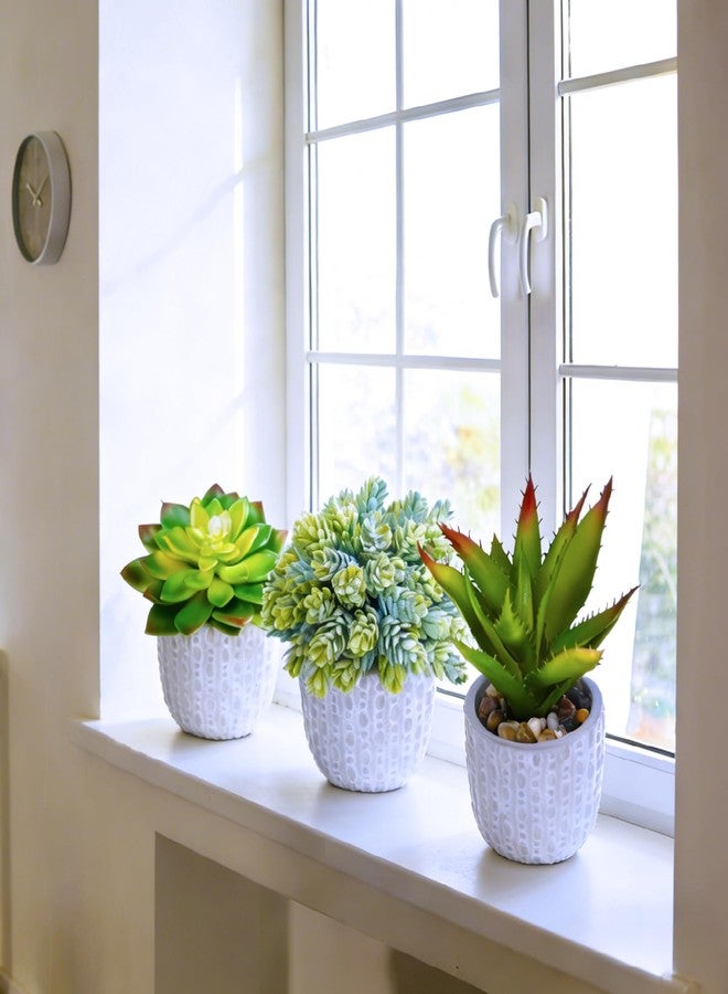 EXQUISS 3 Pcs Assorted Small Potted Fake Succulents Plants Artificial Aloe Hops in Gray Concrete Ceramic Pots Polka Dots Planters for Home Kitchen Party Gift Greenery Windowsill Tabletop Decor - Image 5