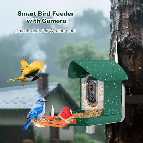 Gyozol Bird Feeder with Camera,WiFi Smart Bird House with Cam Solar Powered for Outdoor,AI Identify,App Notification,Night Vision,2K Live View,Auto Record Video,Birdwatching Gifts for Family,Birds Lover - Image 5