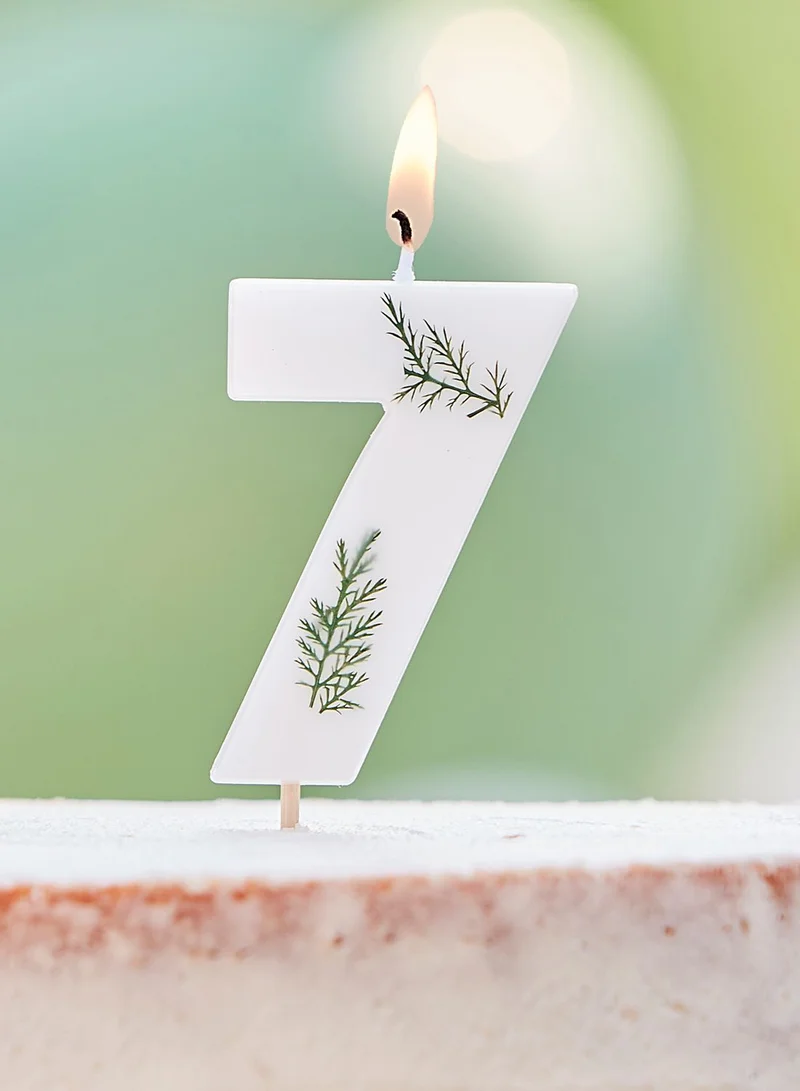 جينجر راي شمعة بشكل رقم 7