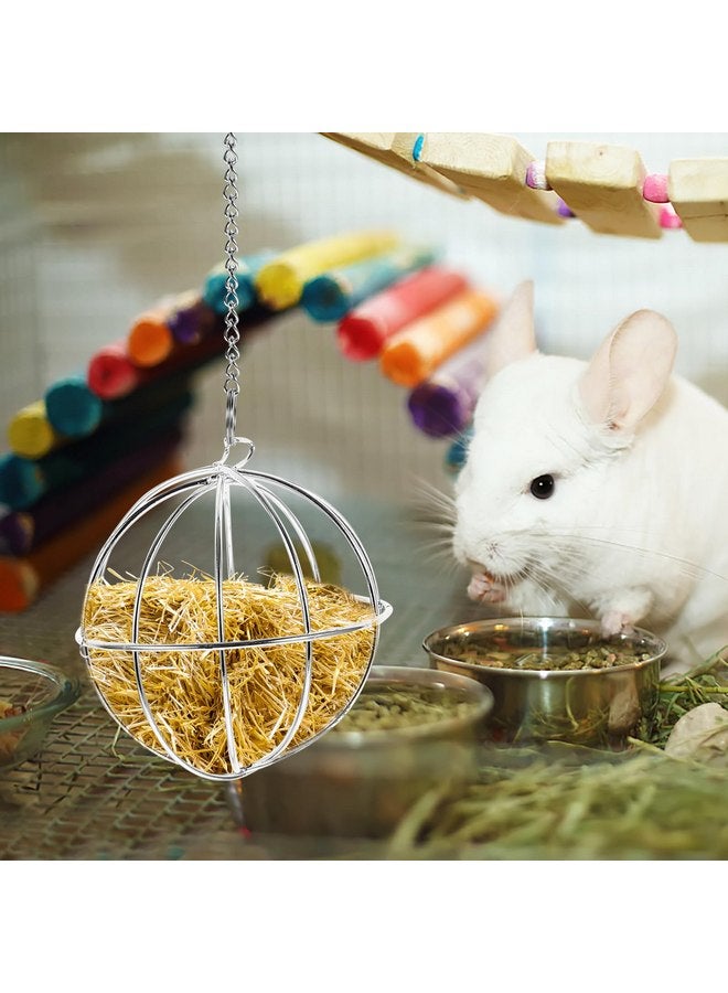 Balacoo Chinchilla Hay Feeder - Hanging Rabbit Hay Feed Dispenser, Stainless Steel Guinea Pig Holder Ball Feeder Toy for Bunny Guinea Pig Hamster Rat - Image 1