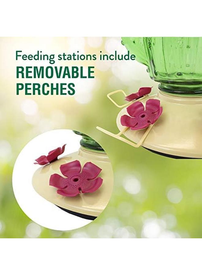 بيركي-بيت 9111 2 وحدة تغذية زجاجية للطيور الطنانة ذات تعبئة علوية من الصبار - 32 أونصة - Image 3