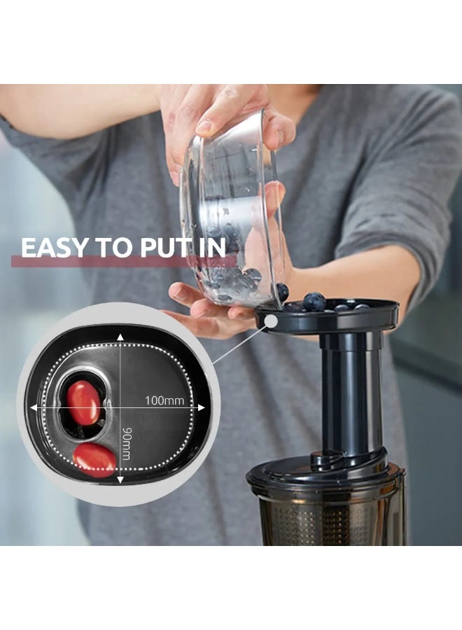 ماركة غير محددة عصارة كهربائية صغيرة بتقنية العصر البطيء (المضغ) وعصارة باردة لعصر الفواكه والخضروات، وفلتر لصنع الآيس كريم - Image 5