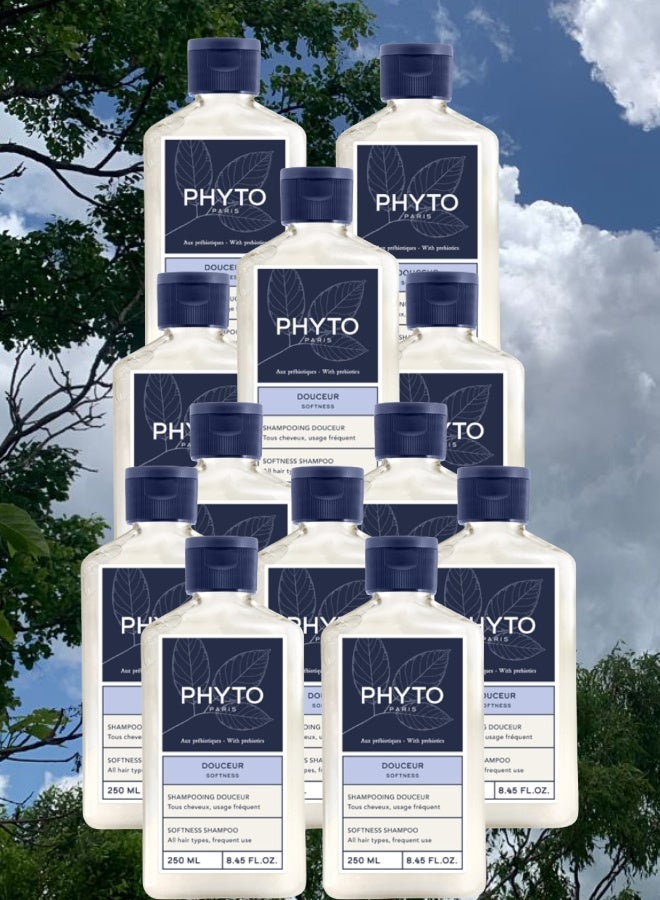 فيتو 12 قطع شامبو فيتو باريس الناعم لجميع أنواع الشعر 250مل - Image 1