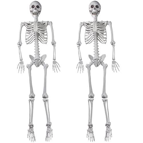 XONOR 2Packs 54ft Halloween Human Skeletons Life Size Full Body Bones with Movable Joints for Halloween Props Spooky Party Decoration - Image 1
