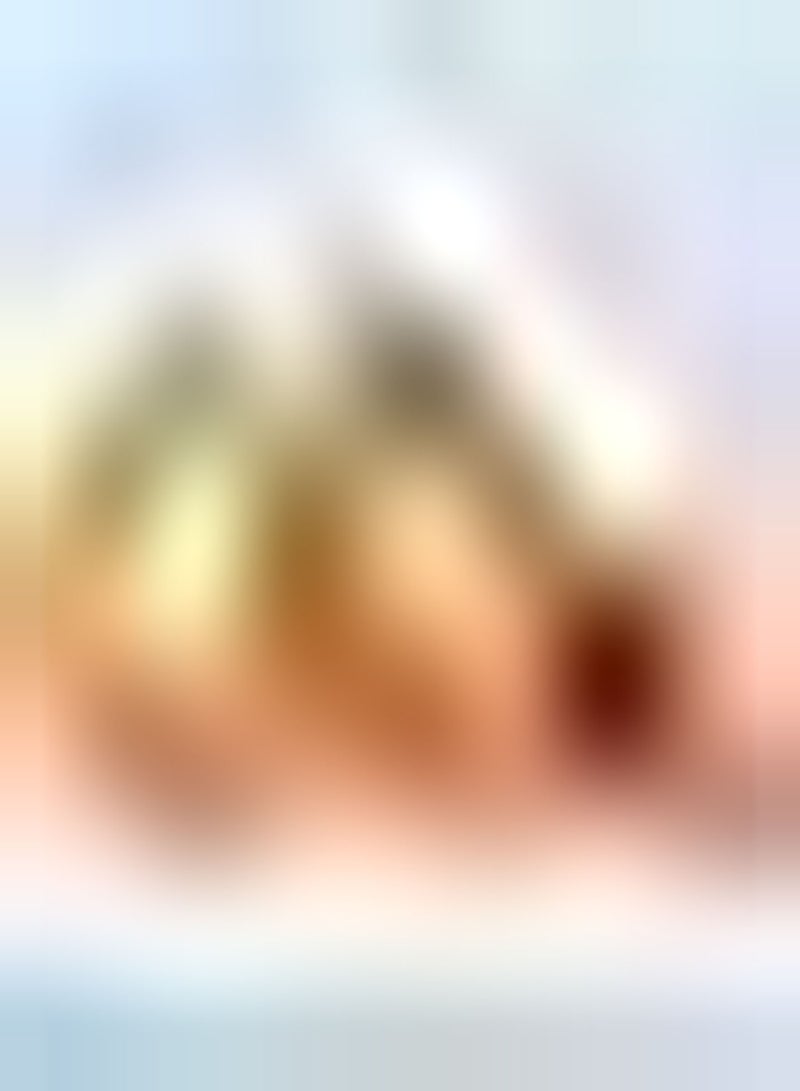 GGOOT 100pcs Pepper Seeds Suitable for Home Gardening Non GMO Green Vegetables Seeds Do Not Require Much Car Easy to Grow People Love It - Image 1