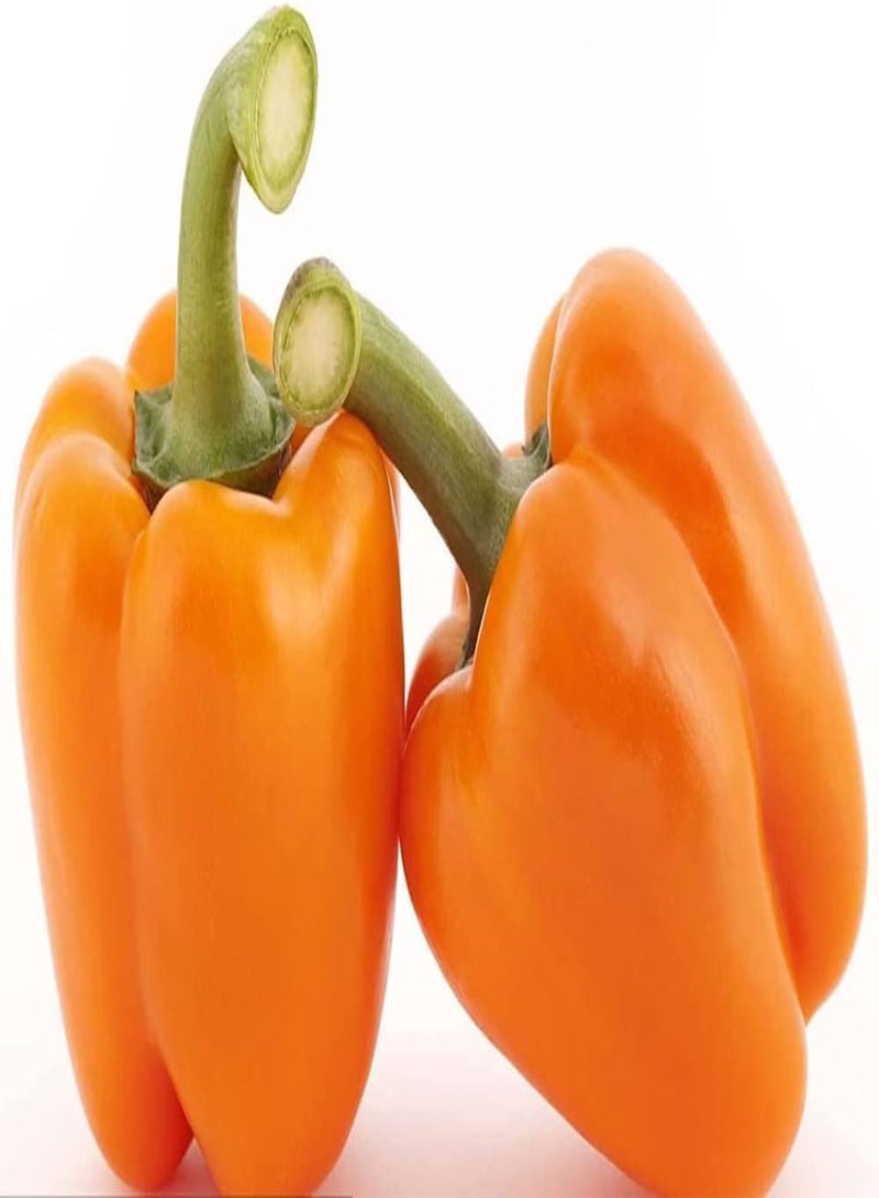 GGOOT 100pcs Pepper Seeds Suitable for Home Gardening Non GMO Green Vegetables Seeds Do Not Require Much Car Easy to Grow People Love It - Image 2