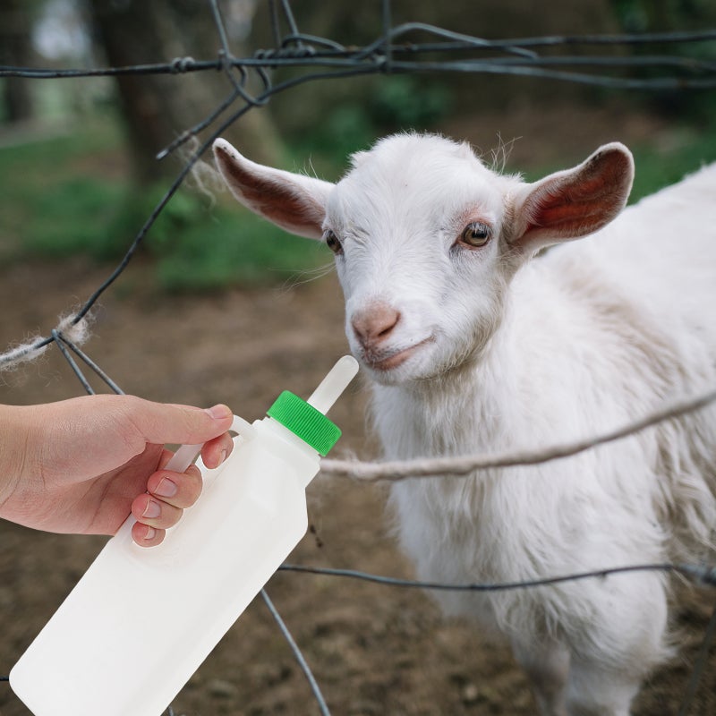 12 pcs Goat Feeding Sheep Feeder Bottles Lamb Feeding Tool Lamb Feeder - Image 3