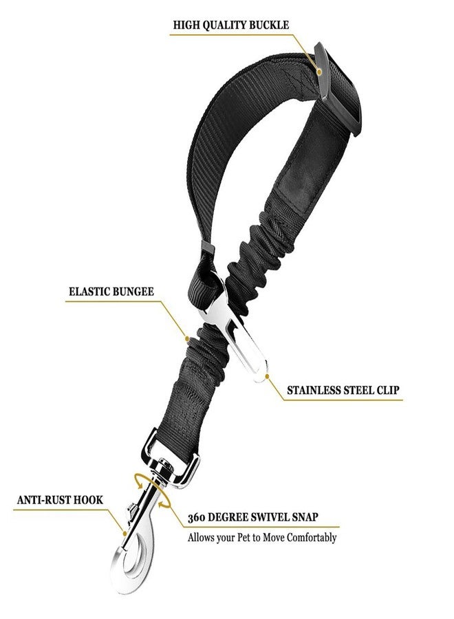 SunGrow Elastic Nylon Ferret Seat Belt, 24” - 36”, Adjustable Black Harness, Elastic Tether with Metal Buckles, 2 Pcs per Pack - Image 2