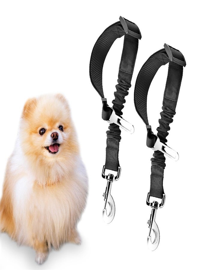 SunGrow Elastic Nylon Ferret Seat Belt, 24” - 36”, Adjustable Black Harness, Elastic Tether with Metal Buckles, 2 Pcs per Pack - Image 5