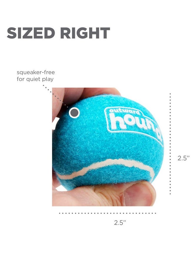 outward hound Outward Hound Tennis Ballz Fetch Dog Toy, 4-Pack  - Image 4