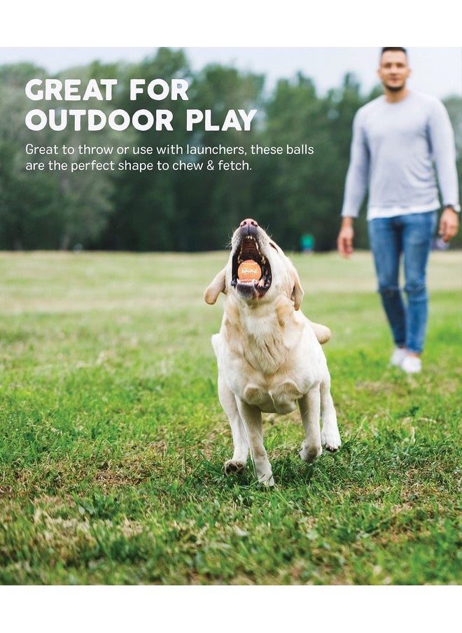 outward hound Outward Hound Tennis Ballz Fetch Dog Toy, 4-Pack  - Image 5