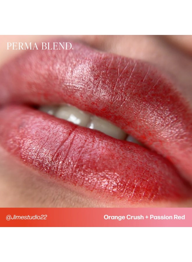 Perma Blend Lip Pigment – Perma Blend Passion Red 15ml | Professional Permanent Makeup Lip Blush Tattoo Ink | High Retention, Vegan, True-to-Tone Healing Semi-Permanent Lip Color | SKU: PBPSR1/2 - Image 4