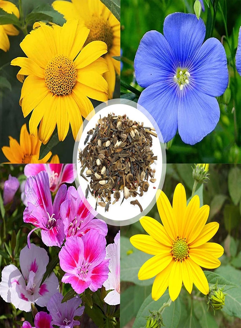 GGOOT Green Seeds, Safe and Harmless & Non-GMO,100Pcs/Bag Wild Flower Seeds Non GMO Flourishing Fragrant Colorful Aromatous Garden Seeds for Landscaping - Wild Flower Seeds - Image 1