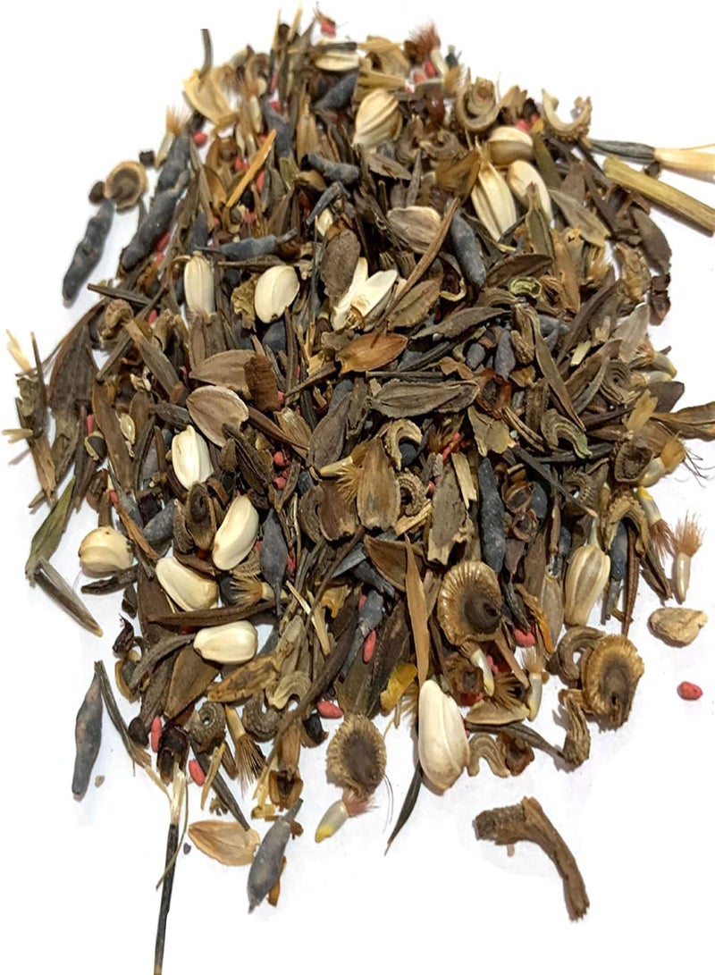 GGOOT Green Seeds, Safe and Harmless & Non-GMO,100Pcs/Bag Wild Flower Seeds Non GMO Flourishing Fragrant Colorful Aromatous Garden Seeds for Landscaping - Wild Flower Seeds - Image 5