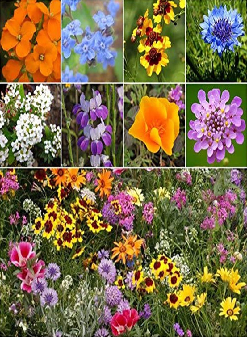 GGOOT Green Seeds, Safe and Harmless & Non-GMO,100Pcs/Bag Wild Flower Seeds Non GMO Flourishing Fragrant Colorful Aromatous Garden Seeds for Landscaping - Wild Flower Seeds - Image 2